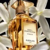 Jasmin Grandiflorum Extrait 30 – Extrait Jasmin Grandiflorum Extrait 30 – Extrait