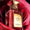 Rose Centifolia Extrait 1 – Extrait Rose Centifolia Extrait 1 – Extrait