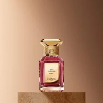 Rose Centifolia Extrait 1 – Extrait